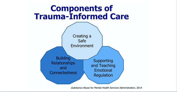 A Trauma Informed System of Care